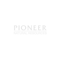Pioneer NR