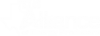 Texas Alliance logo